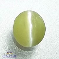 Chrysoberyl Cat's Eye