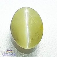 Chrysoberyl Cat's Eye