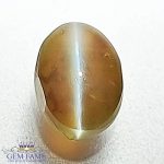 Chrysoberyl Cat's Eye