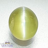 Chrysoberyl Cat's Eye