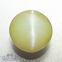 Chrysoberyl Cat's Eye