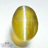 Chrysoberyl Cat's Eye