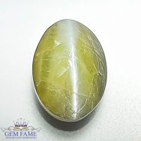 Chrysoberyl Cat's Eye