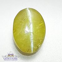 Chrysoberyl Cat's Eye