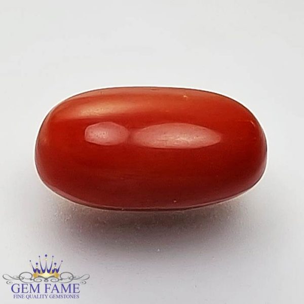 Coral 3.32ct (Moonga) Gemstone Italy