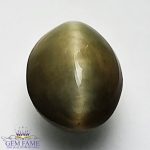 Quartz Cats Eye 3.95ct Gemstone India