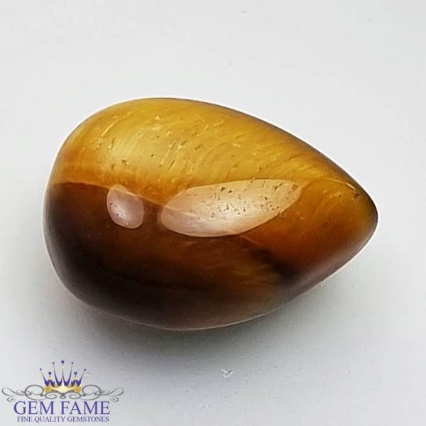 Tiger's Eye