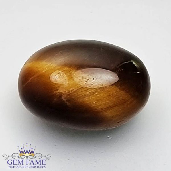 Tiger's Eye