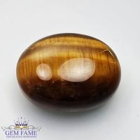 Tiger's Eye