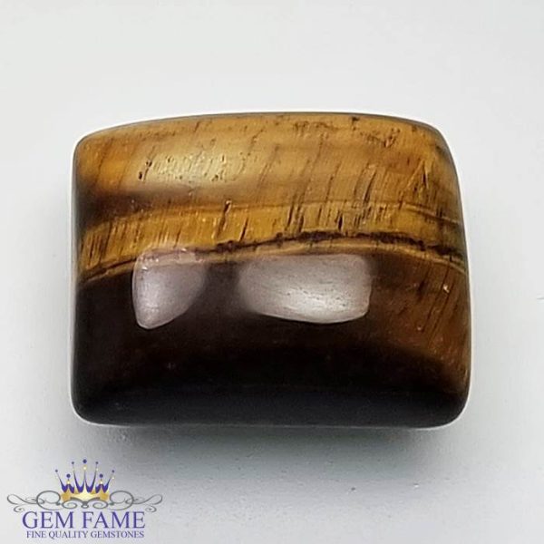 Tiger's Eye