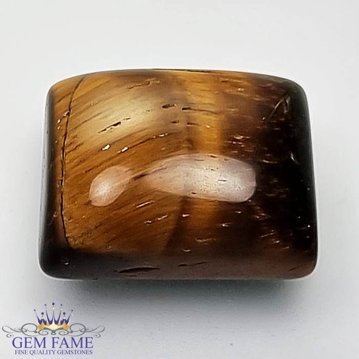 Tiger's Eye