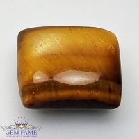 Tiger's Eye