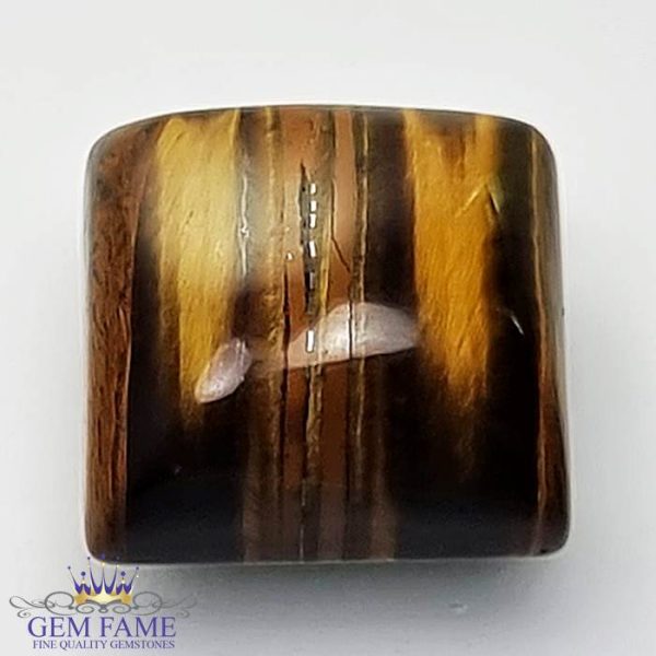 Tiger's Eye