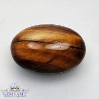 Tiger's Eye