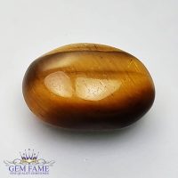 Tiger's Eye