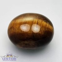 Tiger's Eye