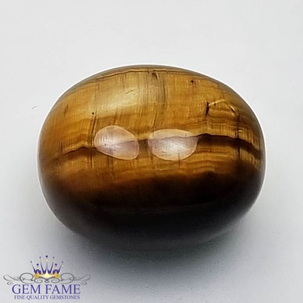 Tiger's Eye