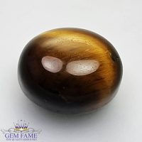 Tiger's Eye