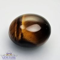 Tiger's Eye