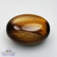 Tiger's Eye