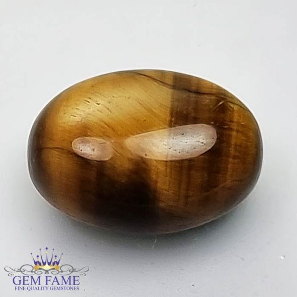 Tiger's Eye