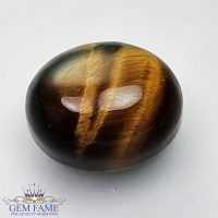 Tiger's Eye