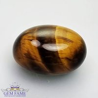 Tiger's Eye