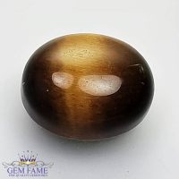 Tiger's Eye