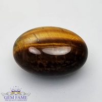 Tiger's Eye