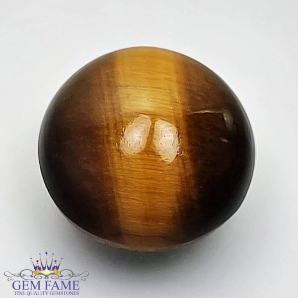 Tiger's Eye