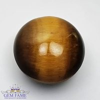 Tiger's Eye