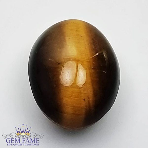 Tiger's Eye