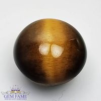 Tiger's Eye