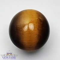 Tiger's Eye