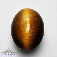 Tiger's Eye