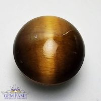 Tiger's Eye