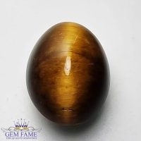 Tiger's Eye