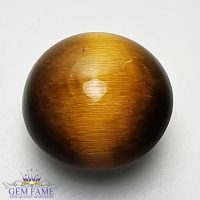 Tiger's Eye