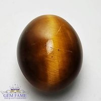 Tiger's Eye