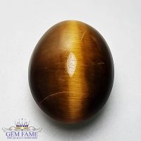 Tiger's Eye