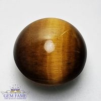 Tiger's Eye