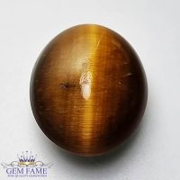 Tiger's Eye