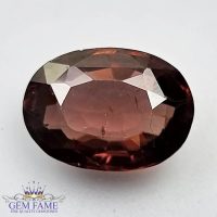 Brown Zircon 7.01ct (Jarkan) Gemstone Ceylon