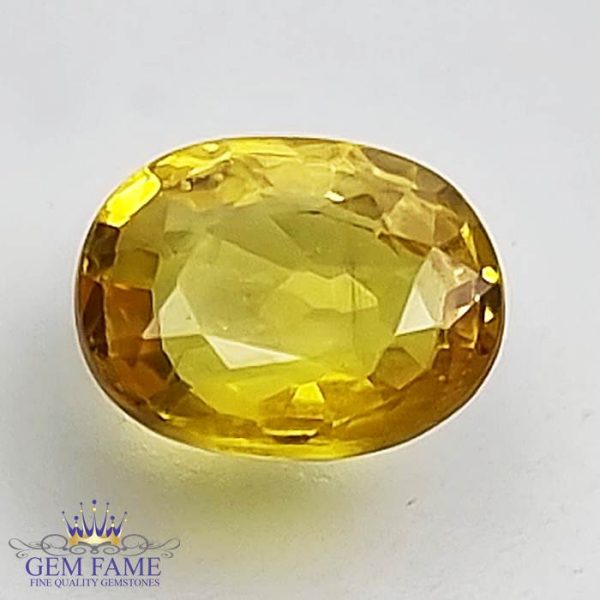 Yellow Sapphire 1.61ct Natural Gemstone Thailand