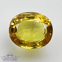 Yellow Sapphire 1.56ct Natural Gemstone Thailand