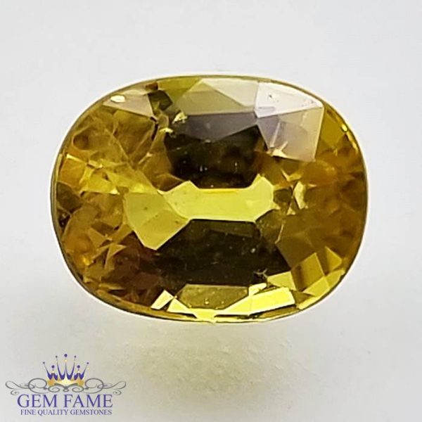 Yellow Sapphire 1.83ct Natural Gemstone Thailand