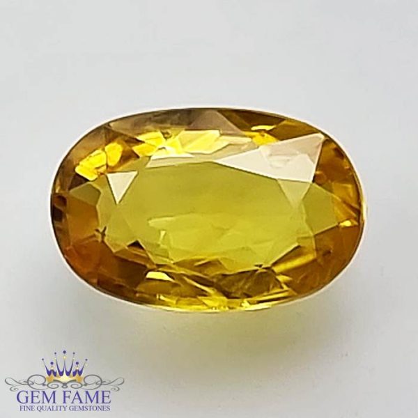 Yellow Sapphire 1.43ct Natural Gemstone Thailand