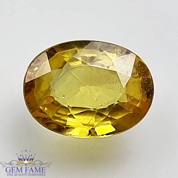Yellow Sapphire 1.42ct Natural Gemstone Thailand