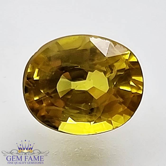 Yellow Sapphire 1.43ct Natural Gemstone Thailand