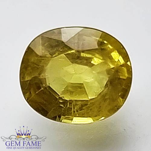 Yellow Sapphire 1.46ct Natural Gemstone Thailand